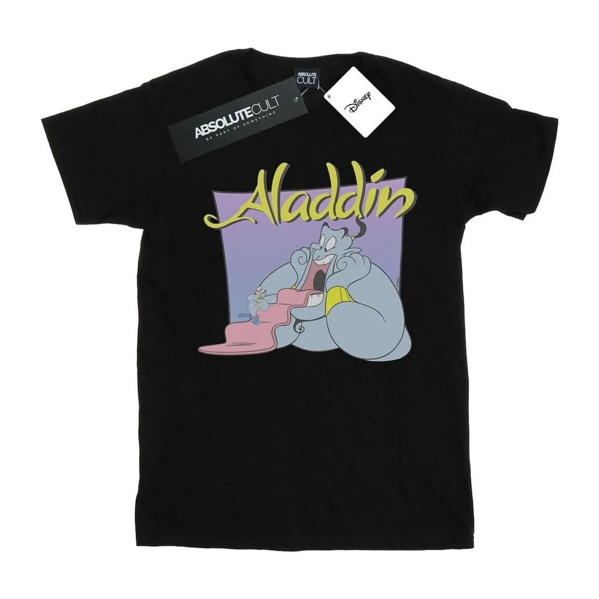 Aladdin Genie Wishing Dude