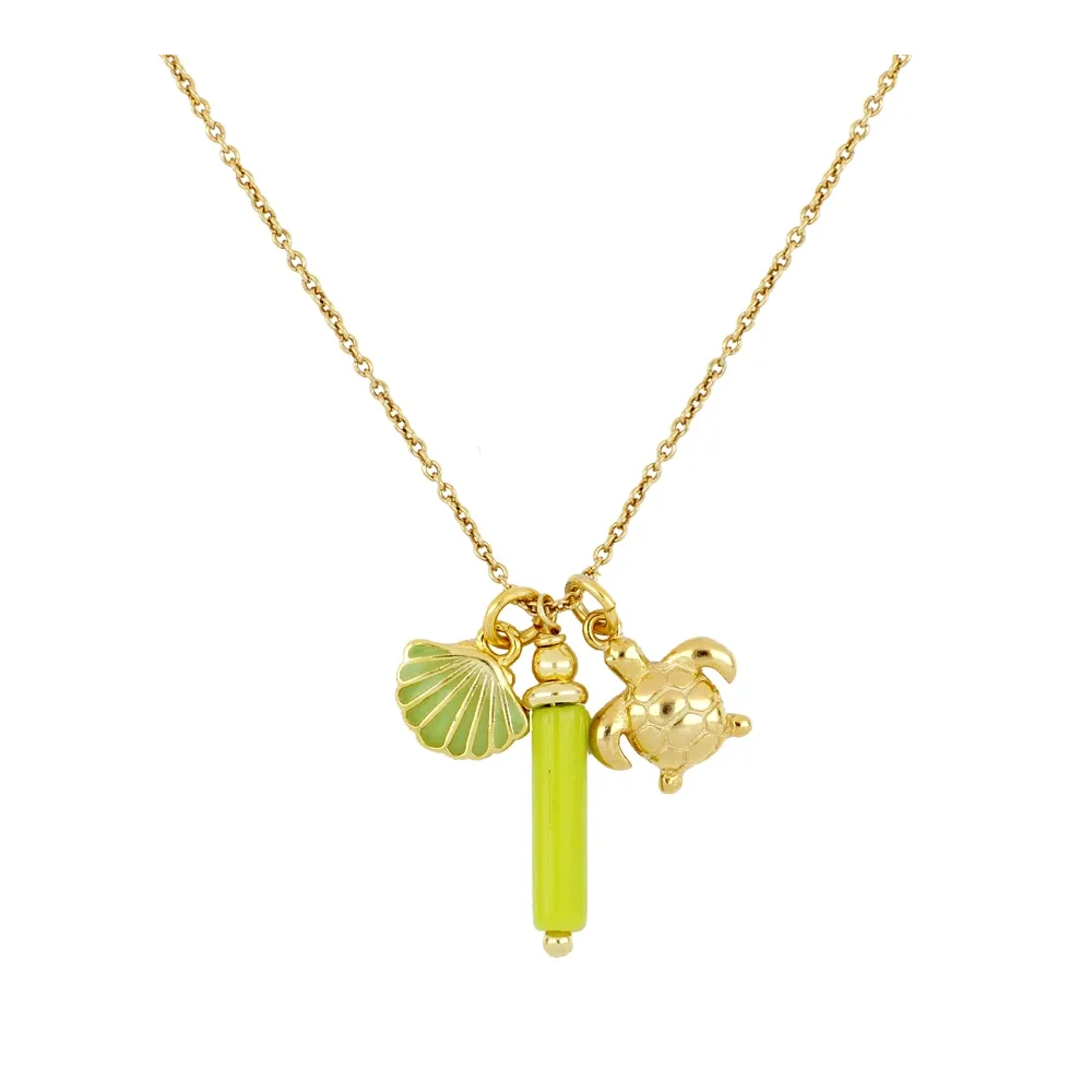 Collar Plata Fiyi Gold
