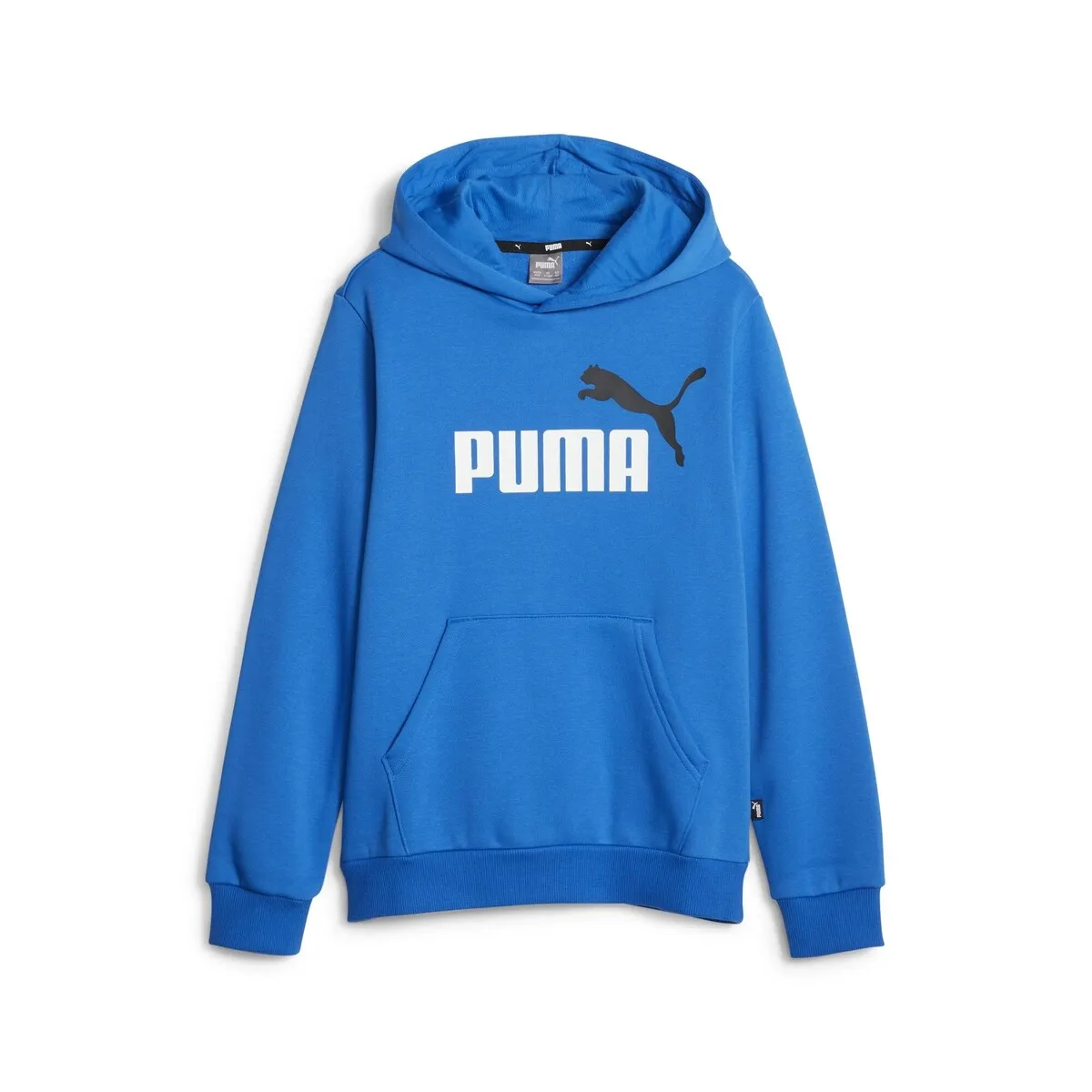 ESS  2 COL BIG LOGO HOODIE FL B