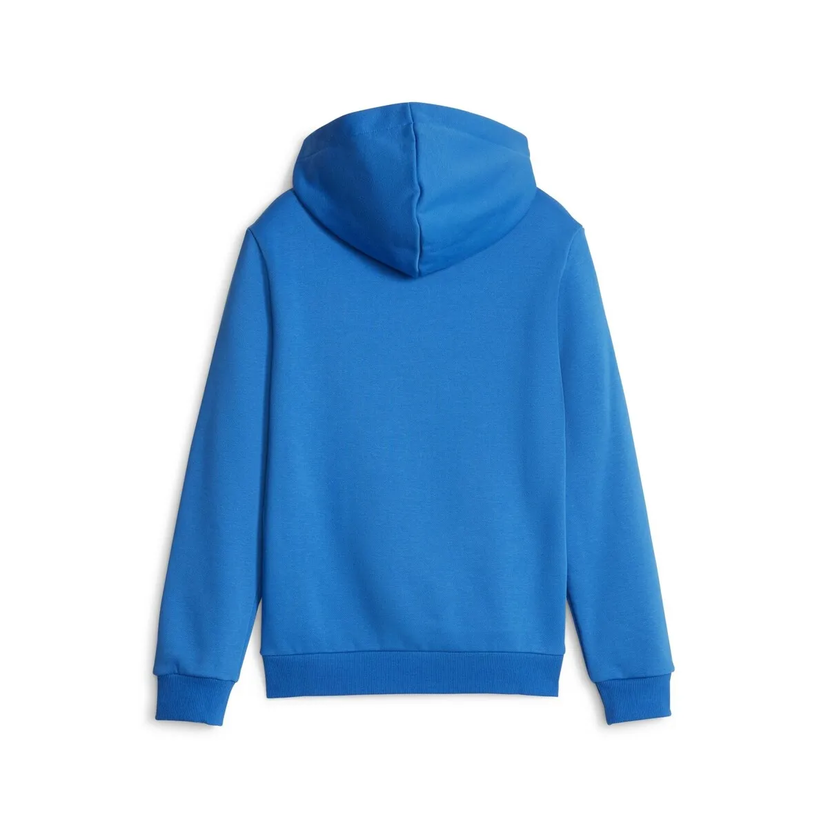 ESS  2 COL BIG LOGO HOODIE FL B