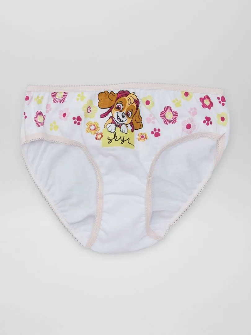 PACK DE 3 BRAGUITAS 'LA PATRULLA CANINA'  PURPURA