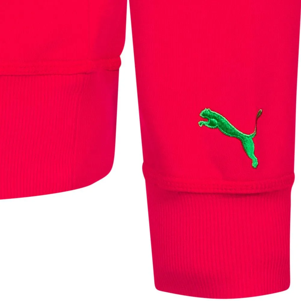 PUMA HOMBRE SUDADERA CON CAPUCHA 50930401