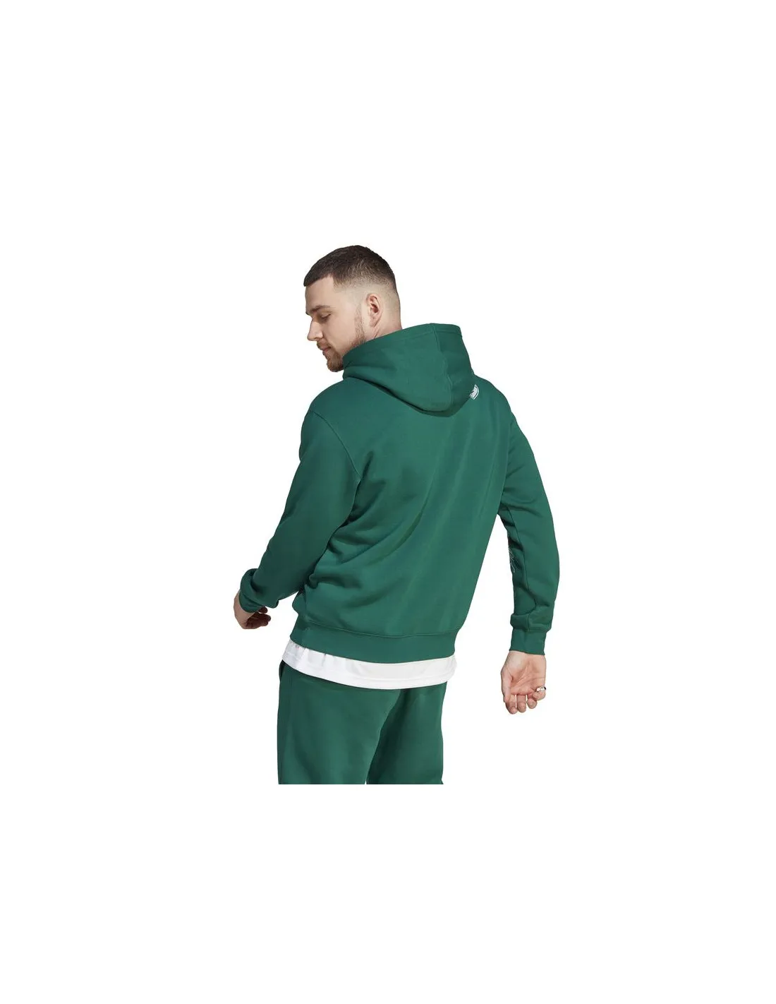 Sudadera adidas Bl Fl Hd Q3 Fl Hombre