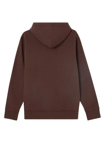 Sudadera Levis Graphic para Hombre Marrón